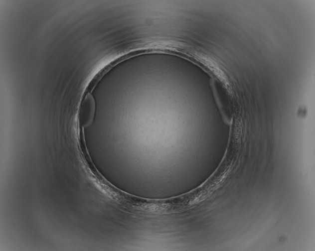 X0000097830936200803281157