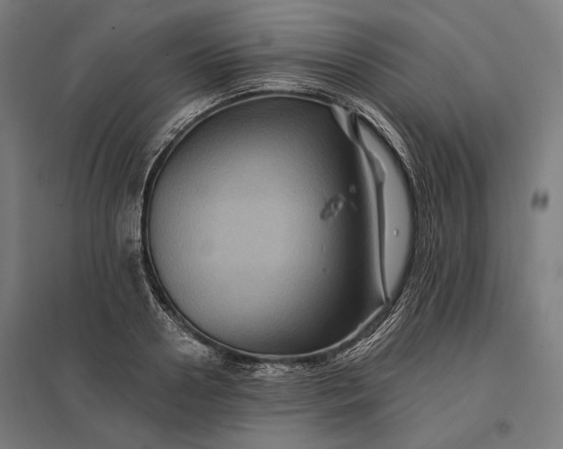 X0000097830938200803281157