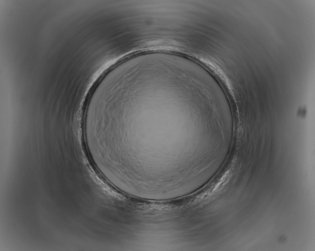 X0000097830941200803281157