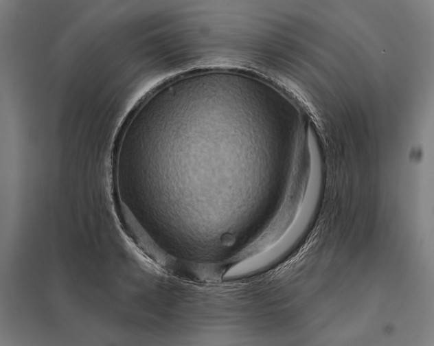 X0000097830942200803281157