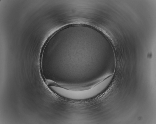 X0000097830943200803281157