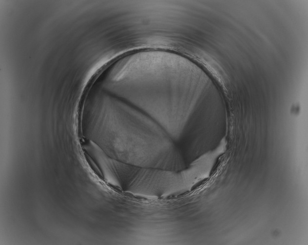 X0000097830944200803281157