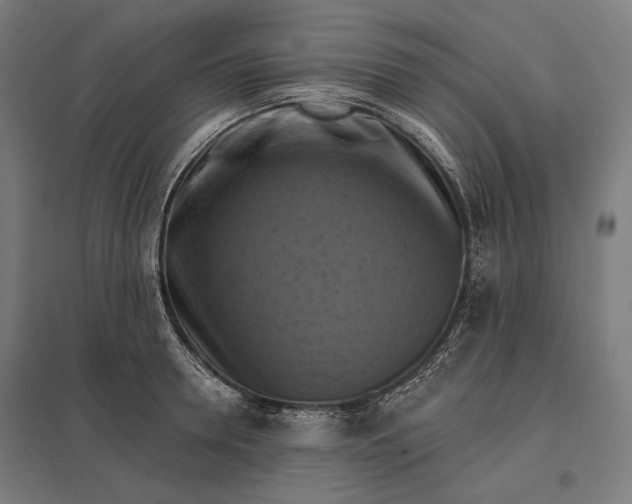 X0000097830946200803281157