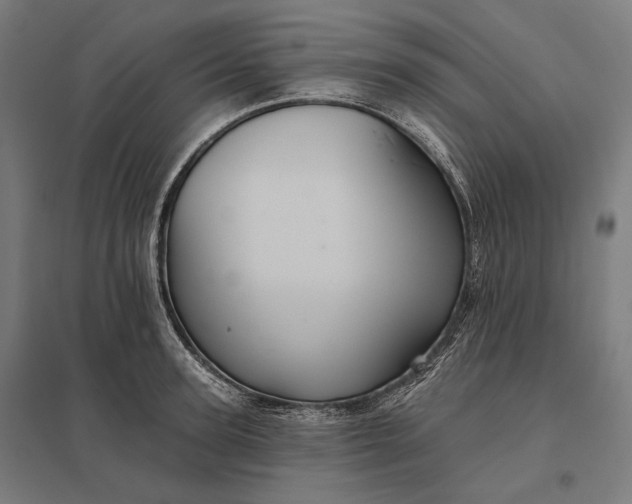 X0000097830947200803281157