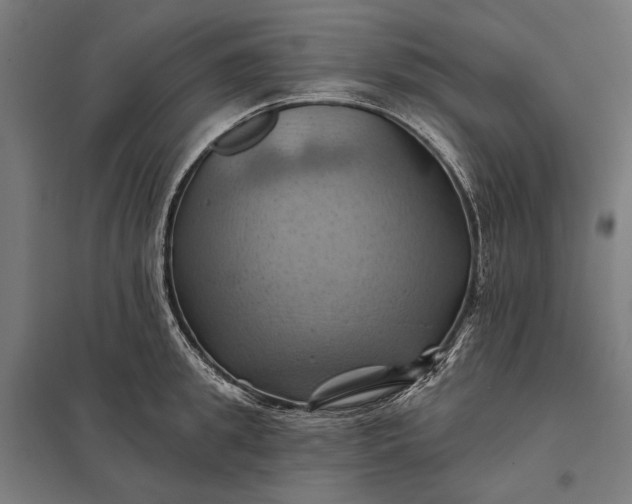 X0000097830949200803281157