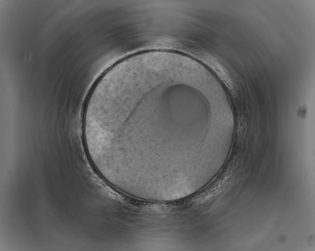 X0000097830950200803281157