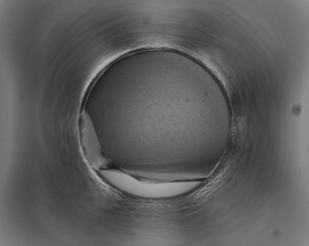 X0000097830951200803281157