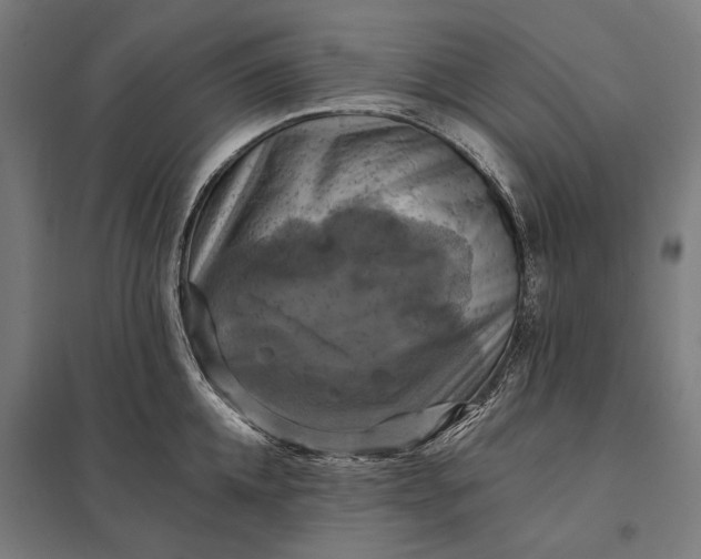 X0000097830952200803281157