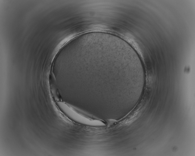 X0000097830954200803281157