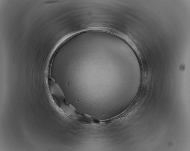 X0000097830955200803281157