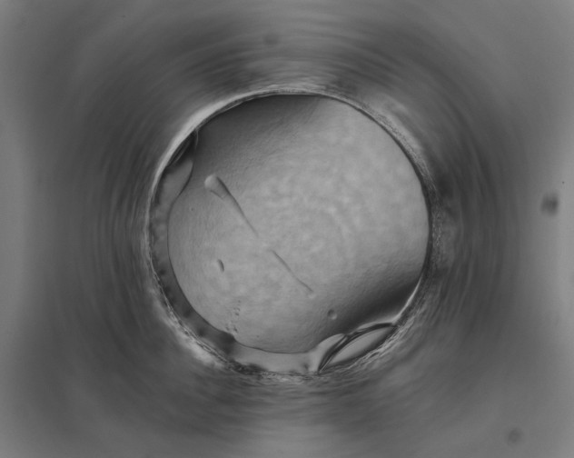 X0000097830956200803281157