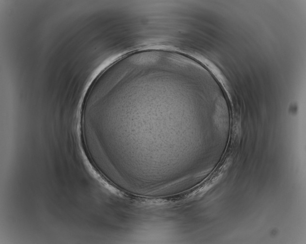 X0000097830957200803281157