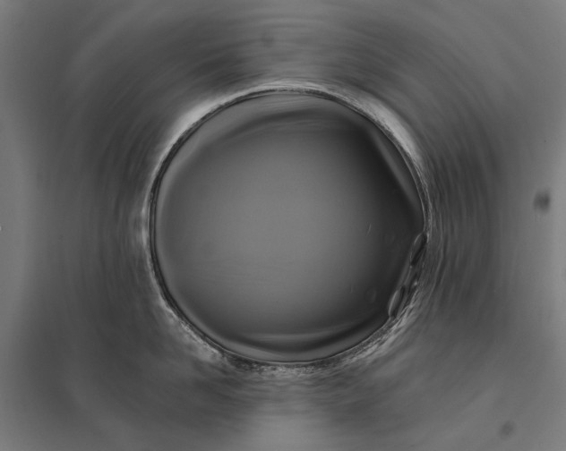 X0000097830958200803281157