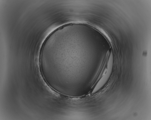 X0000097830959200803281157