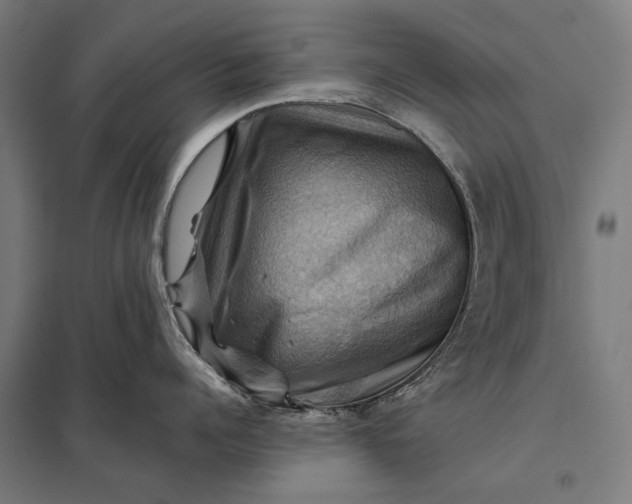 X0000097830960200803281157