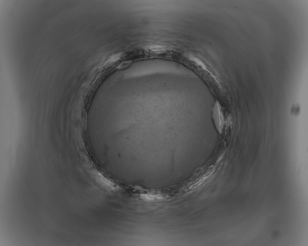 X0000097830961200803281157