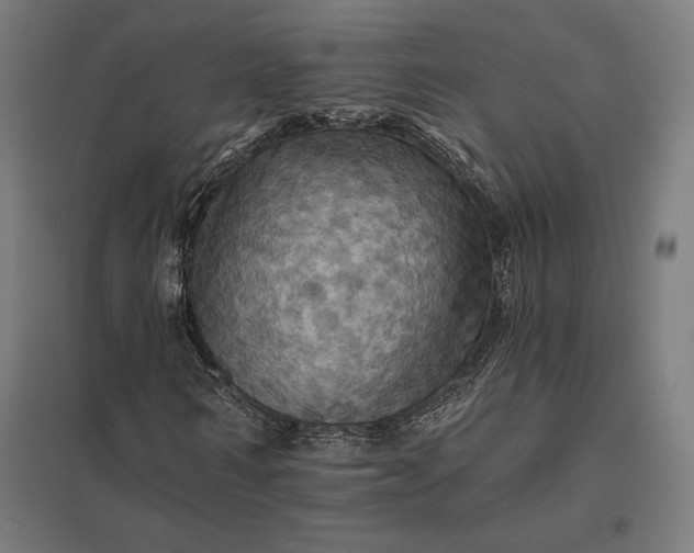 X0000097830962200803281157