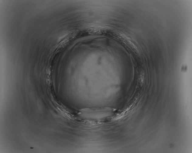 X0000097830964200803281157