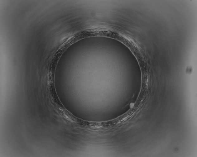 X0000097830965200803281157