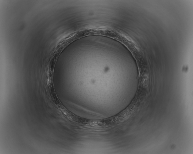 X0000097830966200803281157