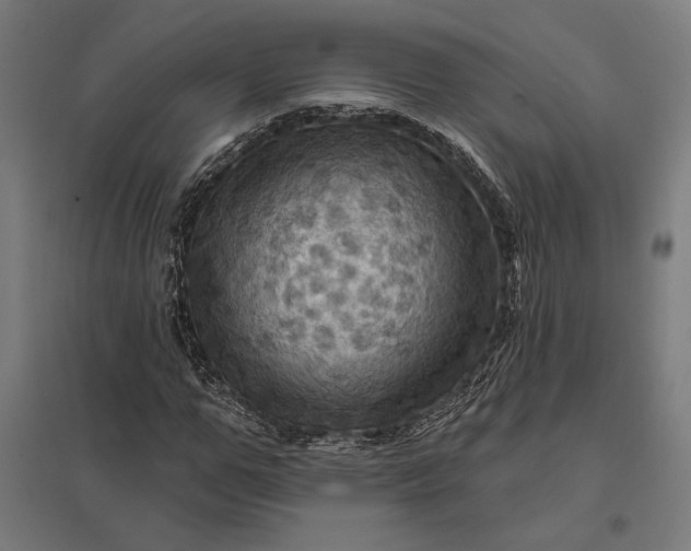 X0000097830967200803281157