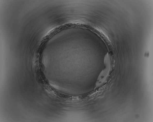 X0000097830968200803281157