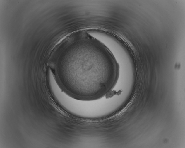 X0000097830969200803281157