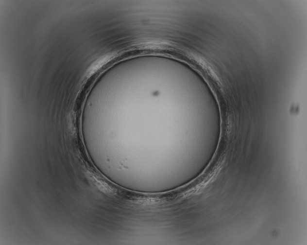 X0000097830970200803281156