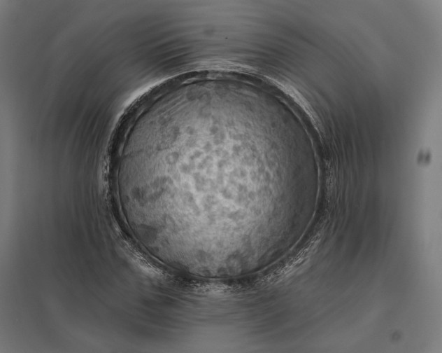 X0000097830971200803281156