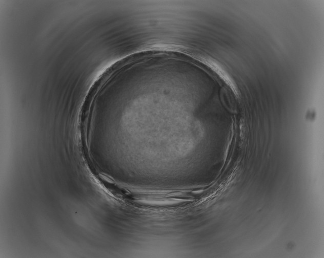 X0000097830972200803281156