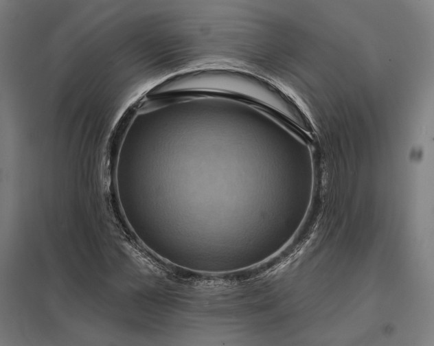 X0000097830973200803281156