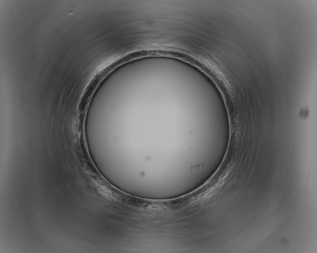 X0000097830974200803281156