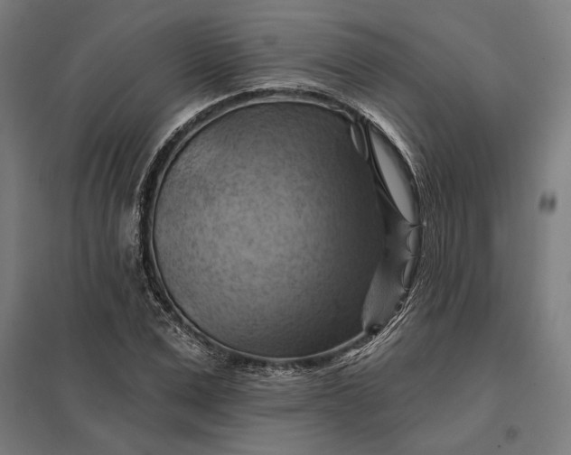 X0000097830975200803281156