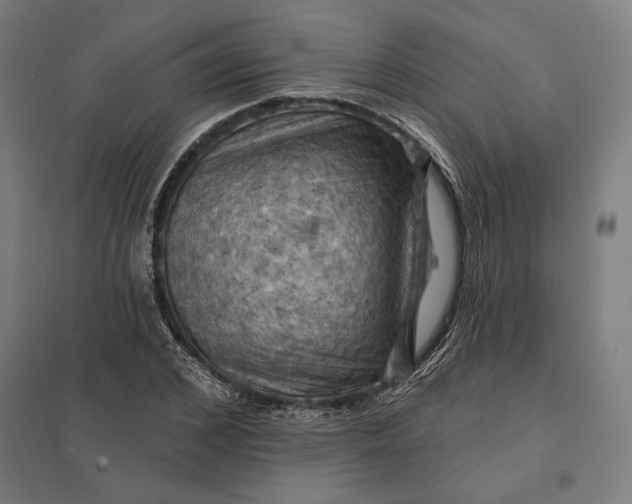 X0000097830976200803281156