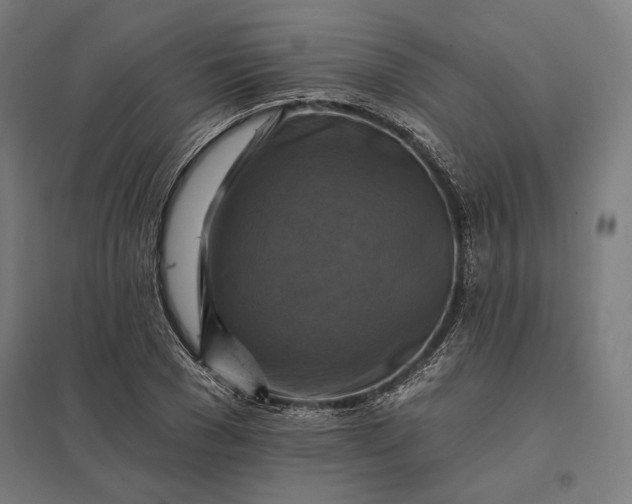 X0000097830977200803281156