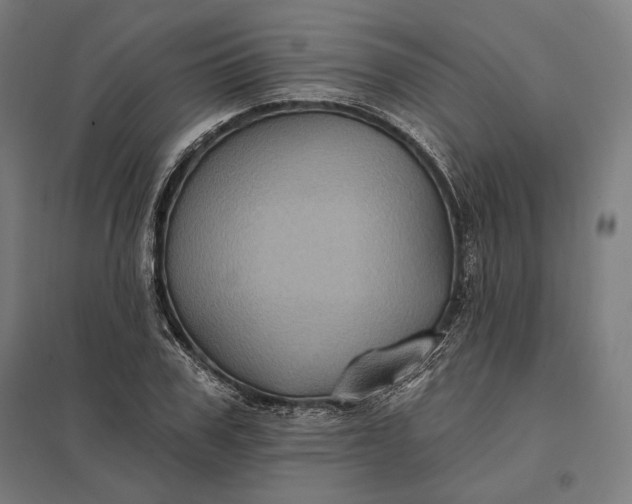 X0000097830979200803281156