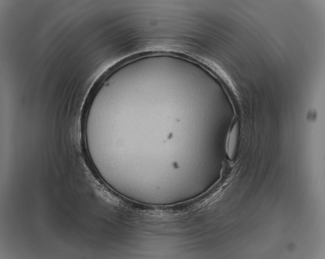 X0000097830980200803281156