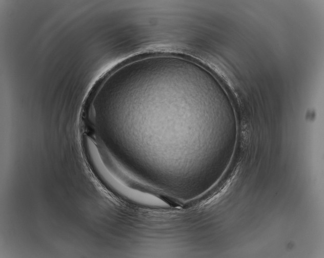 X0000097830981200803281156