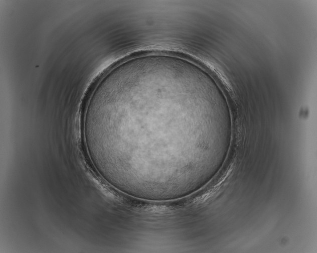 X0000097830982200803281156