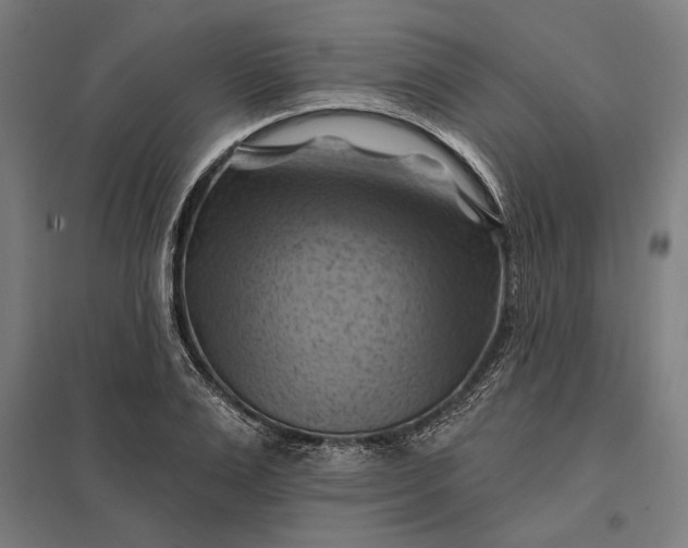 X0000097830983200803281156