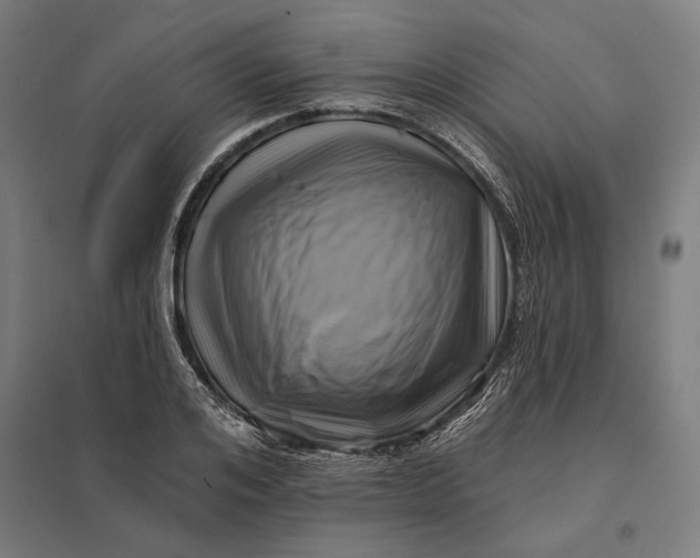 X0000097830984200803281156