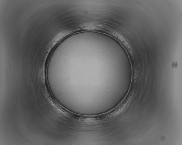 X0000097830986200803281156