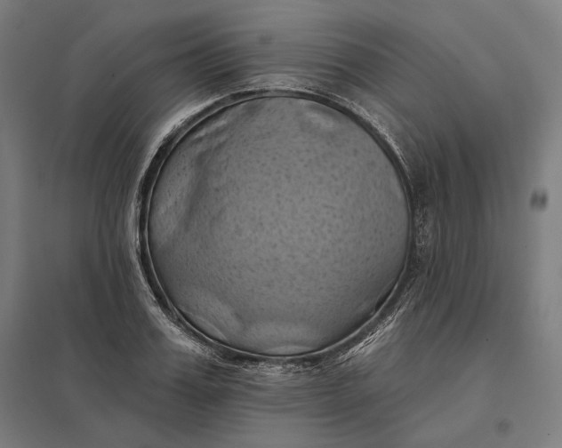 X0000097830987200803281156