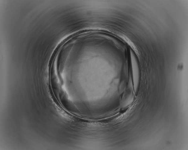 X0000097830988200803281156