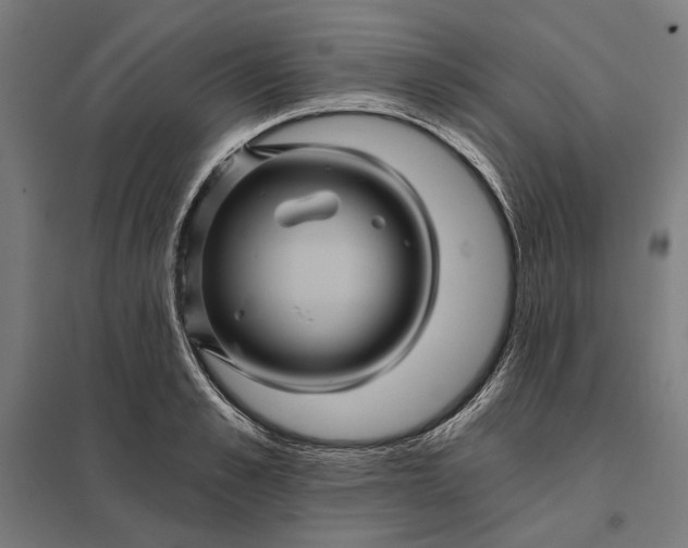 X0000097830989200803281156