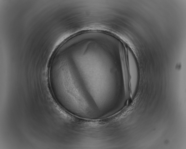 X0000097830990200803281156