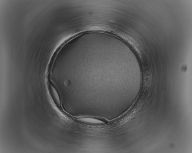 X0000097830991200803281156