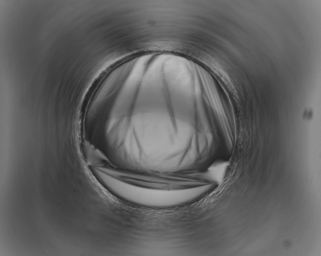 X0000097830992200803281156