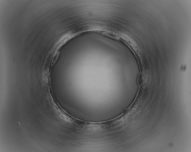 X0000097830993200803281156