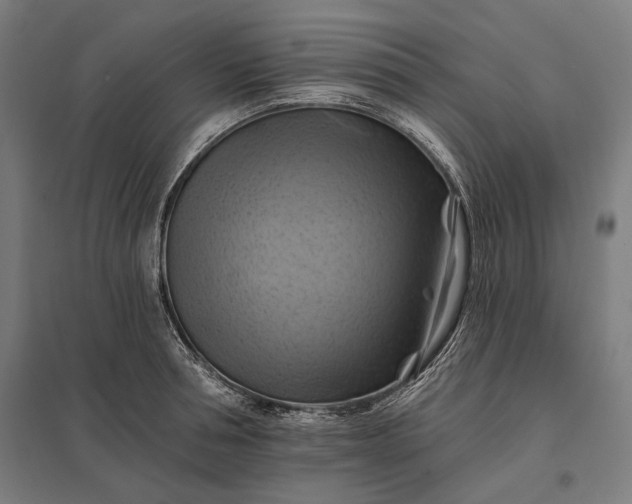 X0000097830994200803281156